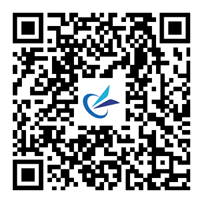 iOS Version